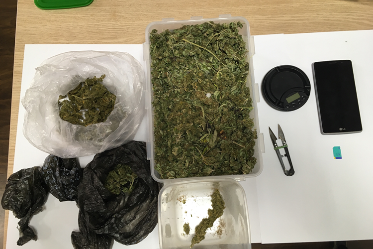 LSD, kokain i marihuana: Policija uspješno zaustavila krijumčare